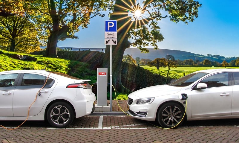 Environmentally Conscious Living